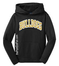 Load image into Gallery viewer, Glitter Mascot Hoody